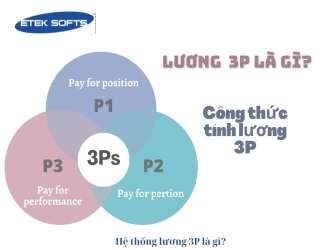 Lương 3P là gì? Làm sao để áp dụng lương 3P hiệu quả nhất.